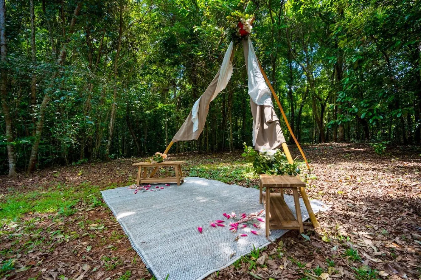 Tranquility Garden Cabin Mission Beach Australia